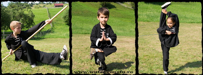 Cursuri de Arte Martiale pentru Copii 5 – 14 ani - Wu Tao Kung Fu