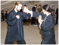 SAtagiu arte martiale Wu Tao Kung Fu 2012